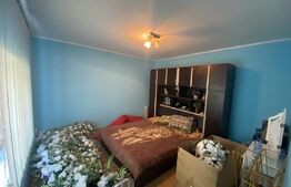 Casa 3 camere, 373 mp teren, zona Brestei