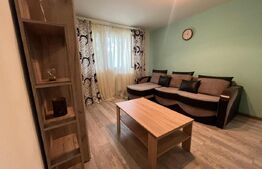 Apartament cu 2 camere, centrală termică, pet friendly, Craiovița Nouă-Kaufland