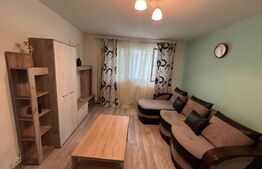 Apartament cu 2 camere, centrală termică, pet friendly, Craiovița Nouă-Kaufland