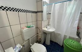 Apartament cu 2 camere, centrală termică, pet friendly, Craiovița Nouă-Kaufland