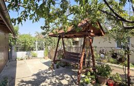 Casa plan parter, 320 mp teren, zona Piata Centrala