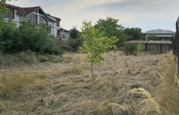 Teren intravilan 704 mp, zona Bariera Vilcii