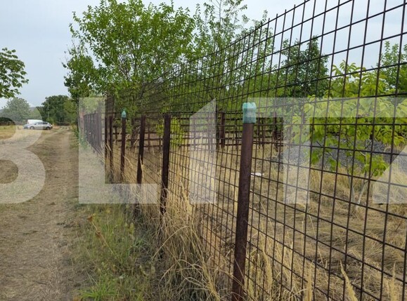 Teren de vânzare Bariera Valcii - 158191TV | BLITZ Craiova | Poza3