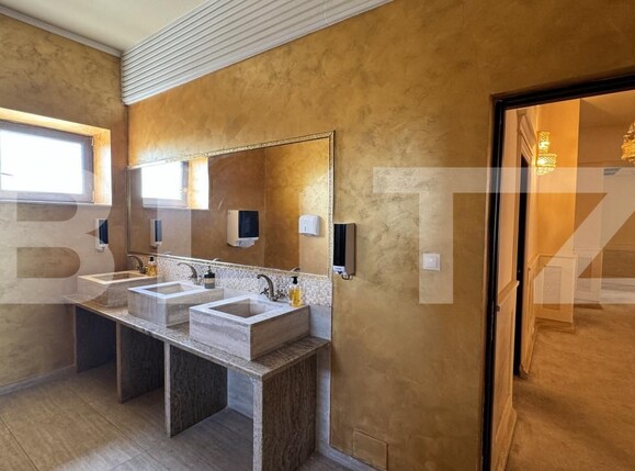 Spațiu comercial de vânzare Exterior Est - 158213SVC | BLITZ Craiova | Poza13