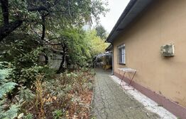 Casa cu vedere la Liceul Buzesti, cu dubla deschidere, 323 mp teren