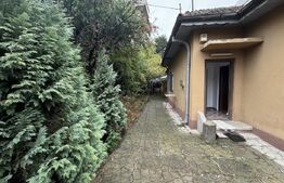 Casa cu vedere la Liceul Buzesti, cu dubla deschidere, 323 mp teren