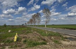 Teren intravilan, 1308 mp, Pielesti zona Peugeot