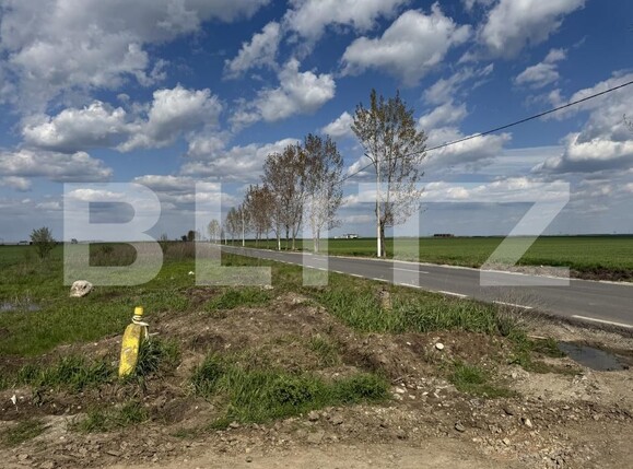 Teren de vânzare Pielești - 158333TV | BLITZ Craiova | Poza2