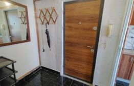 Apartament de 2 camere, 45 mp, Centrala, A.C., zona Calea Severinului