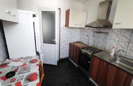 Apartament de 2 camere, 45 mp, Centrala, A.C., zona Calea Severinului