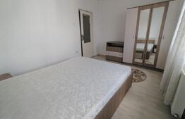 Apartament de 2 camere, 45 mp, Centrala, A.C., zona Calea Severinului
