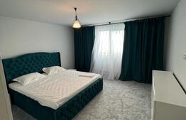 Casa cu 4 camere, incalzire in pardoseala, 400 mp teren, zona Damila