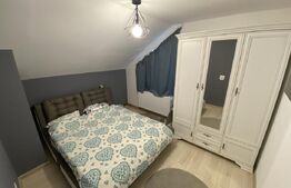 Casa 4 camere, 93,4 mp SU, spatiu comercial 22 mp, Bulevard Nicolae Romanescu