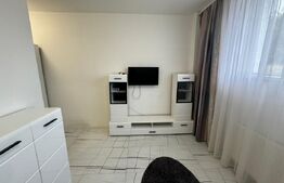 Garsoniera demisol inalt, 27 m, zona LIDL Cornitoiu