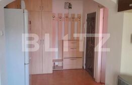 Apartament 2 camere decomandat, Brazda zona La Doi Pasi Rocada