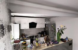 Apartament 2 camere - open space - 54 mp - Calea Severinului, zona Toporas