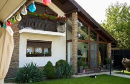 Casa superba cu 3 dormitoare, 140 mp, 500 mp curte, cartier Damila