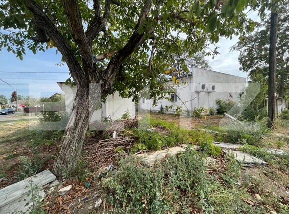 Casa de vânzare 4 camere Filiaşi - 158565CV | BLITZ Craiova | Poza3