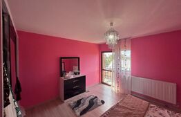 Casa cu 4 dormitoare, 240 mp, pretabila muncitori, localitate Preajba