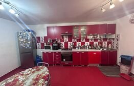 Casa cu 4 dormitoare, 240 mp, pretabila muncitori, localitate Preajba
