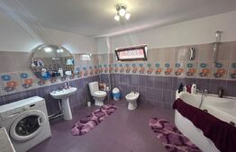 Casa cu 4 dormitoare, 240 mp, pretabila muncitori, localitate Preajba