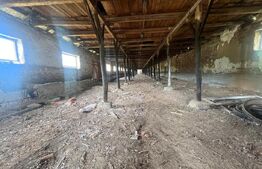 Ferma cu 3000 mp de teren si o constructie de 580 mp 