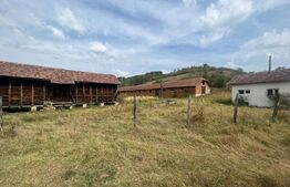 Ferma cu 3000 mp de teren si o constructie de 580 mp 