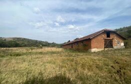 Ferma cu 3000 mp de teren si o constructie de 580 mp 