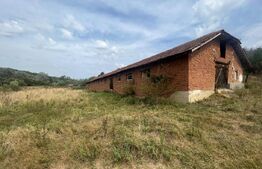 Ferma cu 3000 mp de teren si o constructie de 580 mp 