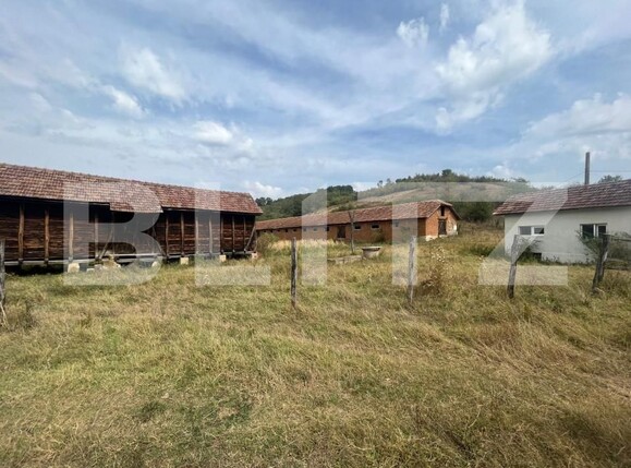 Teren de vânzare Filiaşi - 158582TV | BLITZ Craiova | Poza1