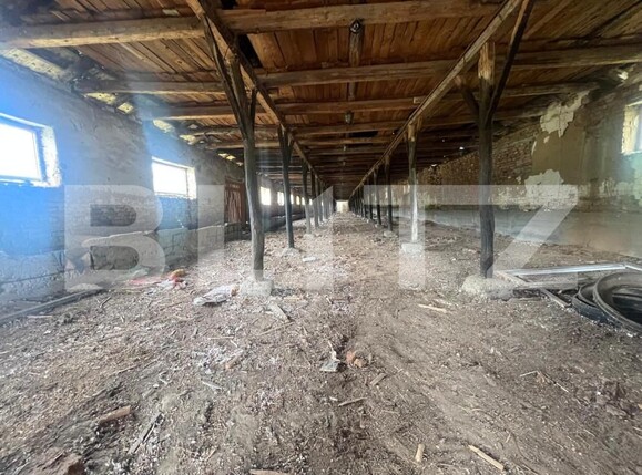 Teren de vânzare Filiaşi - 158582TV | BLITZ Craiova | Poza4