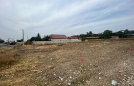 Teren 4046 mp in Racari cu deschidere de 28 ml la drumul european 70