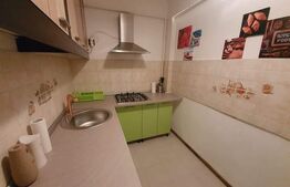 Garsoniera , zona ultracentrala, langa Teatrul National 