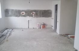 Casa P+E, 475 mp teren, zona Carcea/Flux Arena