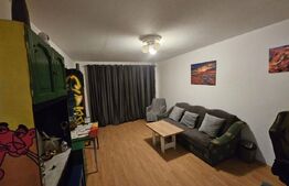 Apartament de 2 camere, decomandat, etajul 1, Rovine