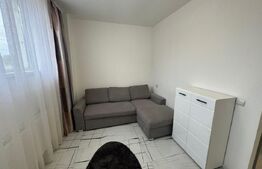 Garsoniera demisol inalt, centrala termica, zona LIDL Cornitoiu