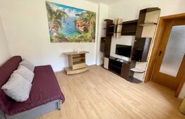 Apartament la curte, 2 camere, CT, AC, zona Facultatea de Medicina