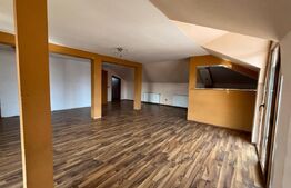 Casa cu 7 dormitoare, în regim P+E+M, 300 mp și 250 mp curte, în zona centrală