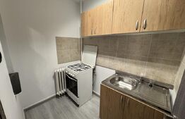 Garsoniera 32mp, se mobileaza la cerere, renovata, Brazda lui Novac