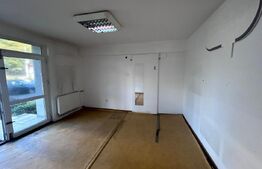 Spatiu comercial, 42 mp, parter de bloc, Bld Nicolae Titulescu