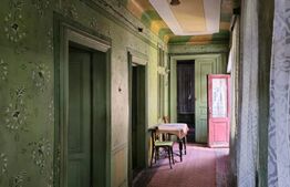 Casa, zona centrala, 245 mp de teren 