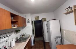 Apartament cu 3 camere, PETFRIENDLY, zona Brazda lui Novac