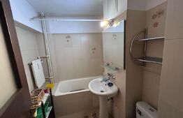 Apartament cu 3 camere, PETFRIENDLY, zona Brazda lui Novac