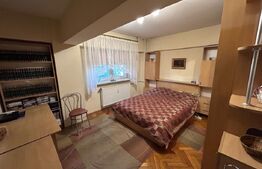 Apartament cu 3 camere, PETFRIENDLY, zona Brazda lui Novac