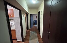 Apartament cu 3 camere, PETFRIENDLY, zona Brazda lui Novac