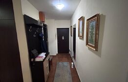 Apartament cu 3 camere, PETFRIENDLY, zona Brazda lui Novac