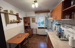 Apartament cu 3 camere, PETFRIENDLY, zona Brazda lui Novac