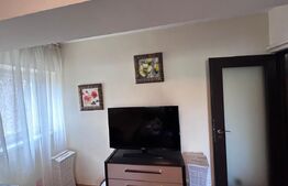 Apartament cu 3 camere, PETFRIENDLY, zona Brazda lui Novac