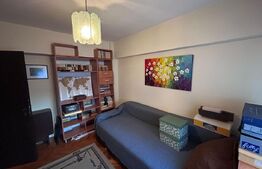 Apartament cu 3 camere, PETFRIENDLY, zona Brazda lui Novac