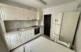 Apartament 2 camere Petfrendly, Aer conditionat, zona Maestro